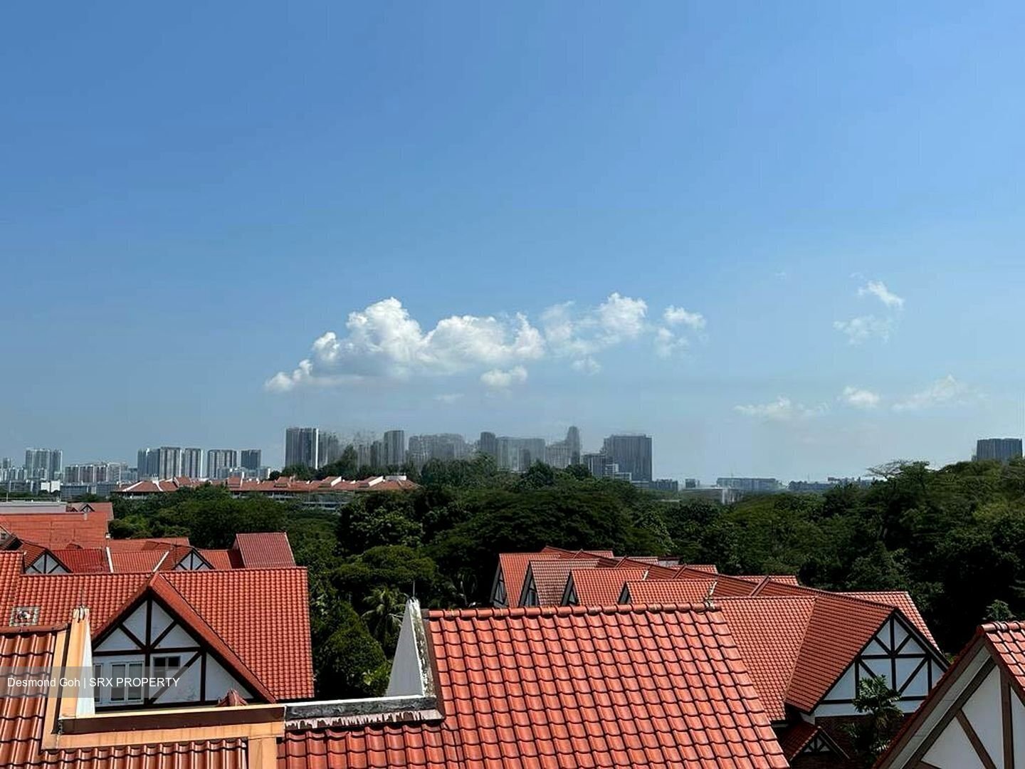 Cheng Soon Garden (D21), Detached #456755911